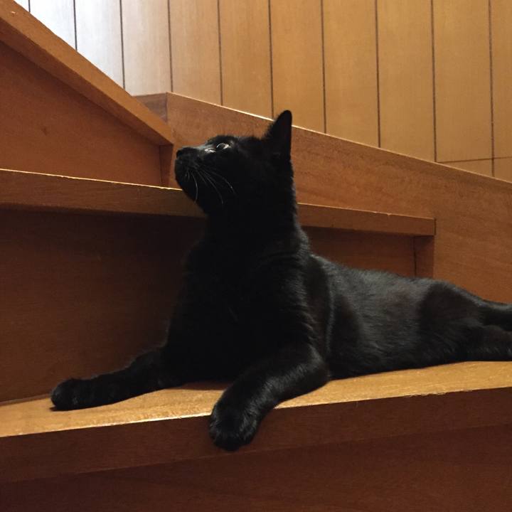 7013307e 4e07 4a80 bea7 9289dc851173