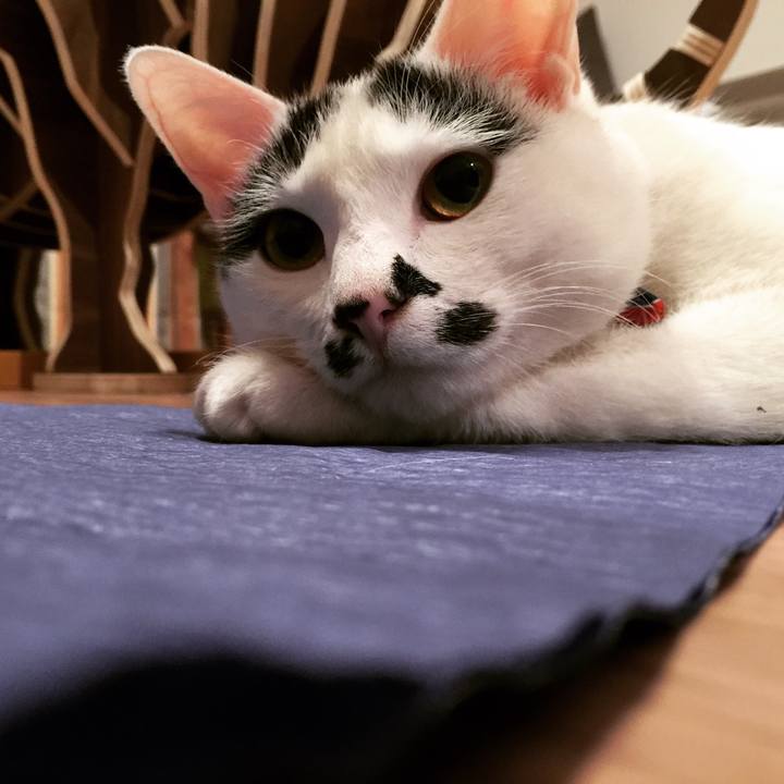 70134c54 9429 41e6 bf3b a51655edb329