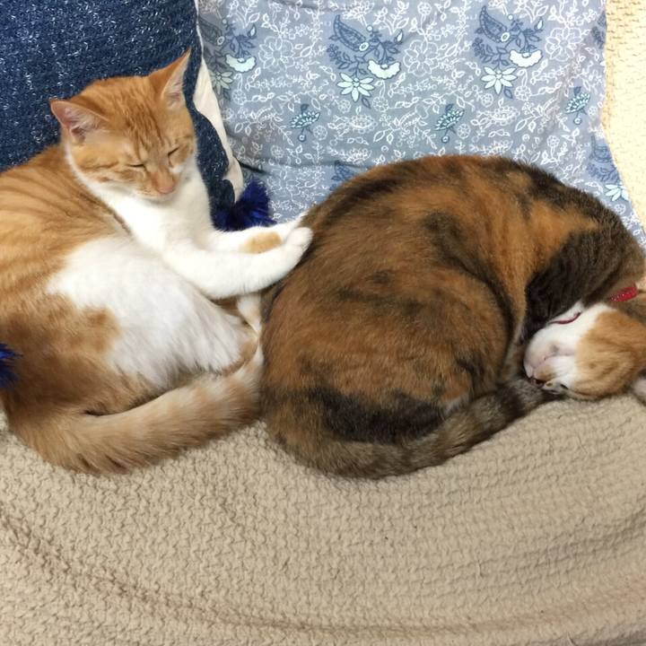 70136109 faa8 422d af34 749c4b80c0b0