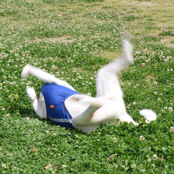 70137871 12b5 4713 a4df c6f9f5c3c2cf