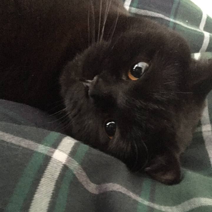 7013cf22 dd9a 4d43 982a 4171960a5b86