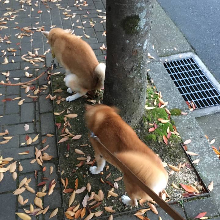 7013d275 1fe6 417b 8cfa c022bc3275a9