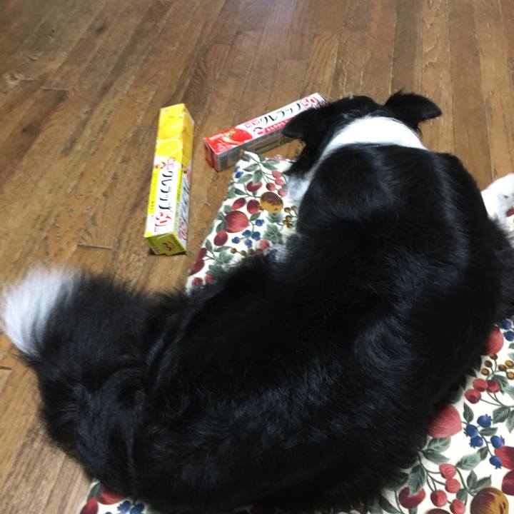 7013f8b5 5f23 4c26 8995 5f7d12df8dfa