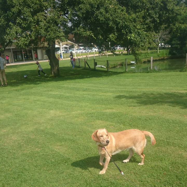 70143604 30fc 48b8 8039 63e9e3d0a9d3