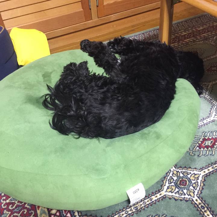 70144f0a 0734 4ff9 b5aa 9256b6fb0c11