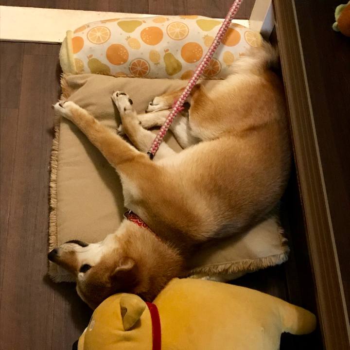 70145235 251c 4548 9059 8736e7fc7c73