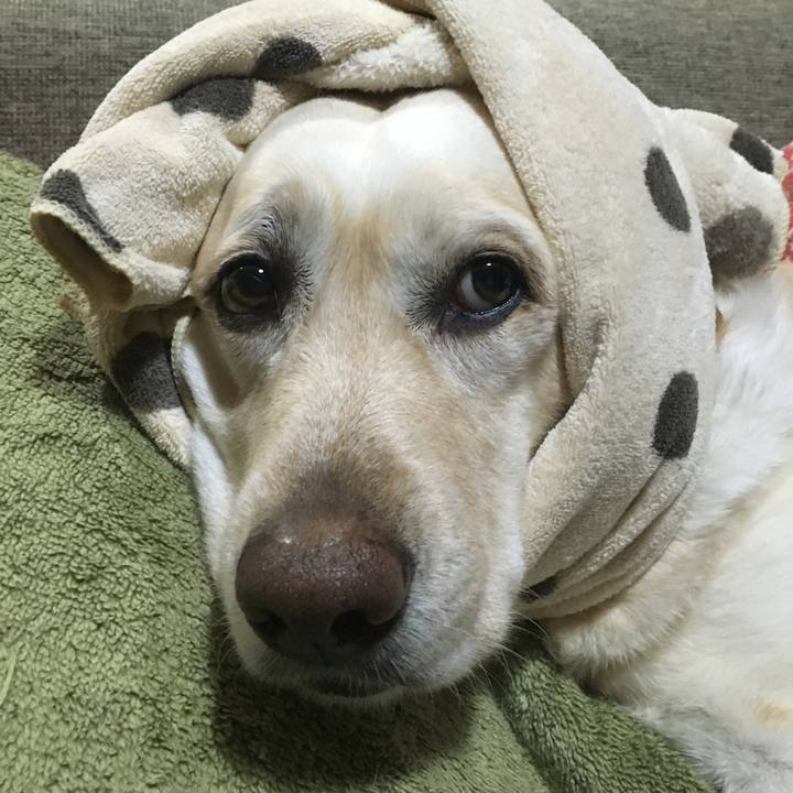 70155a14 25fd 4860 8faf 75f1c52e380b