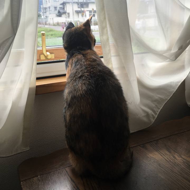 70159577 5016 4a15 8d04 4c7a0571be07