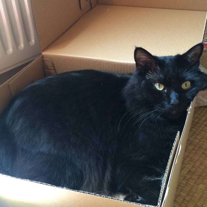 7015b80d a315 4110 a485 1d5e35df77df