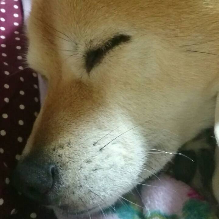 7015de79 7339 4d78 a6a3 f02a7e116339