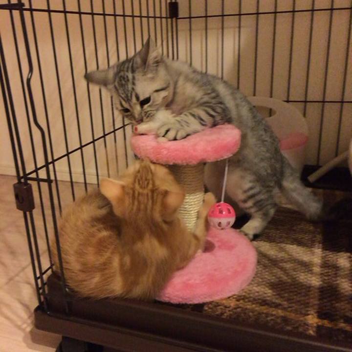 70168889 1e13 45cb 9ccb 2d1eb5db71e5