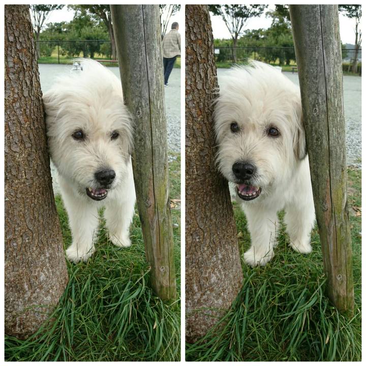 7016bf1b d5cf 4d99 a663 7d692293fc26