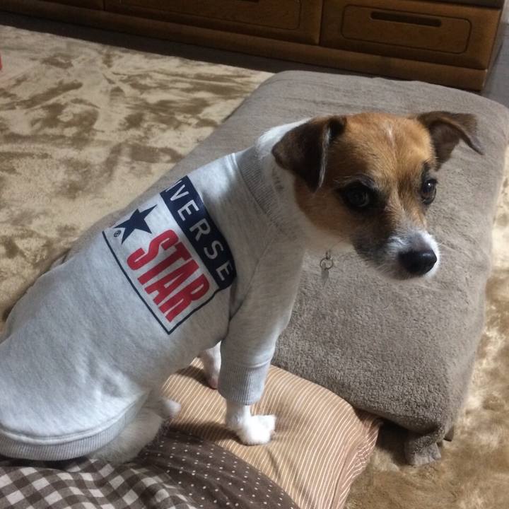 7016c839 22ac 45cc b98d a5049ff6ae21