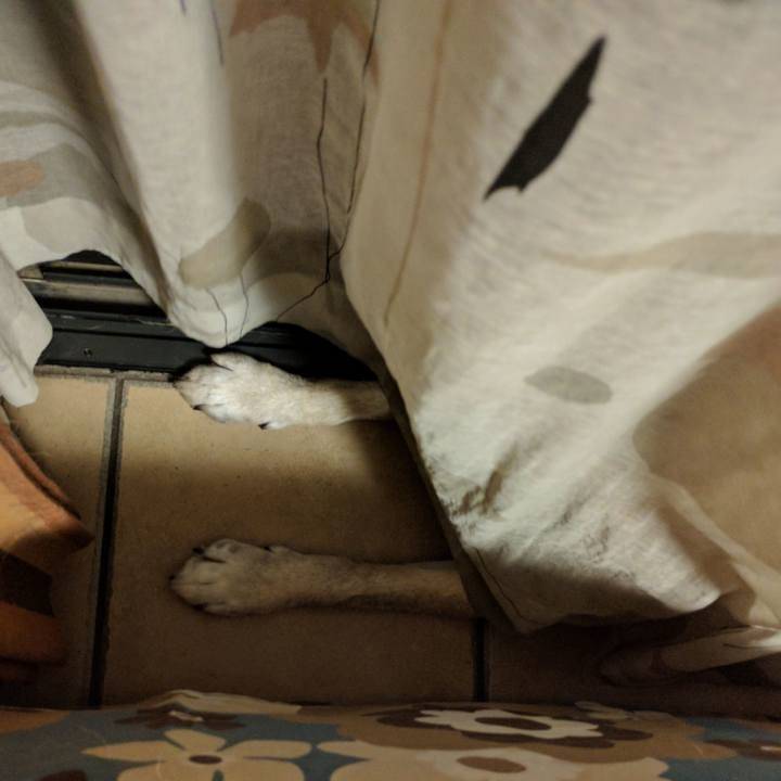 70170952 1888 4ff0 8c66 2eb1eb085d44