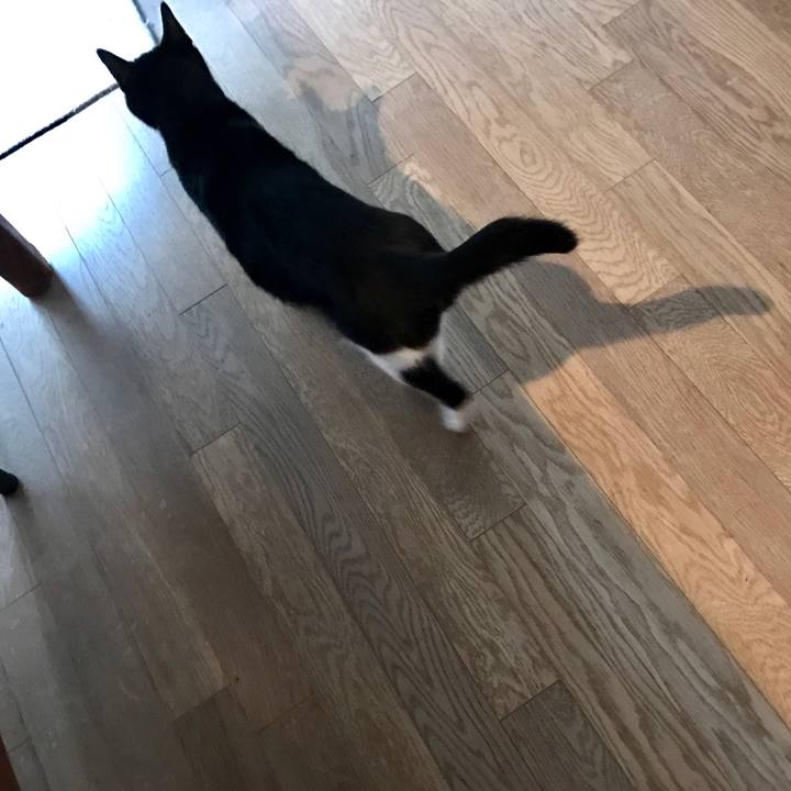 701769a8 ba5b 4337 9c84 bba0037284e8