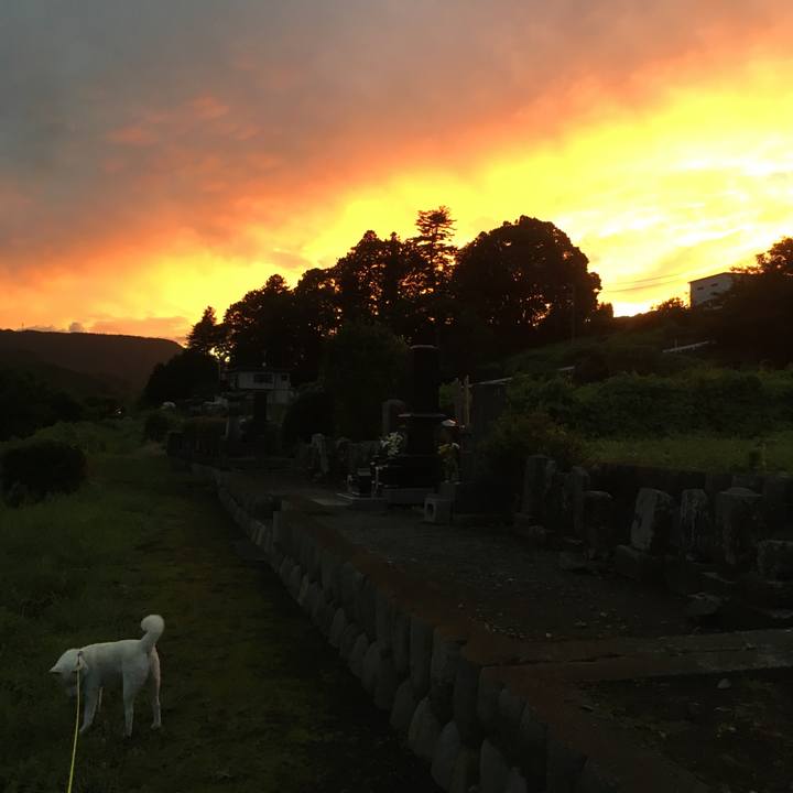 7018250d 431a 442f 8edd f6065b5d7b78