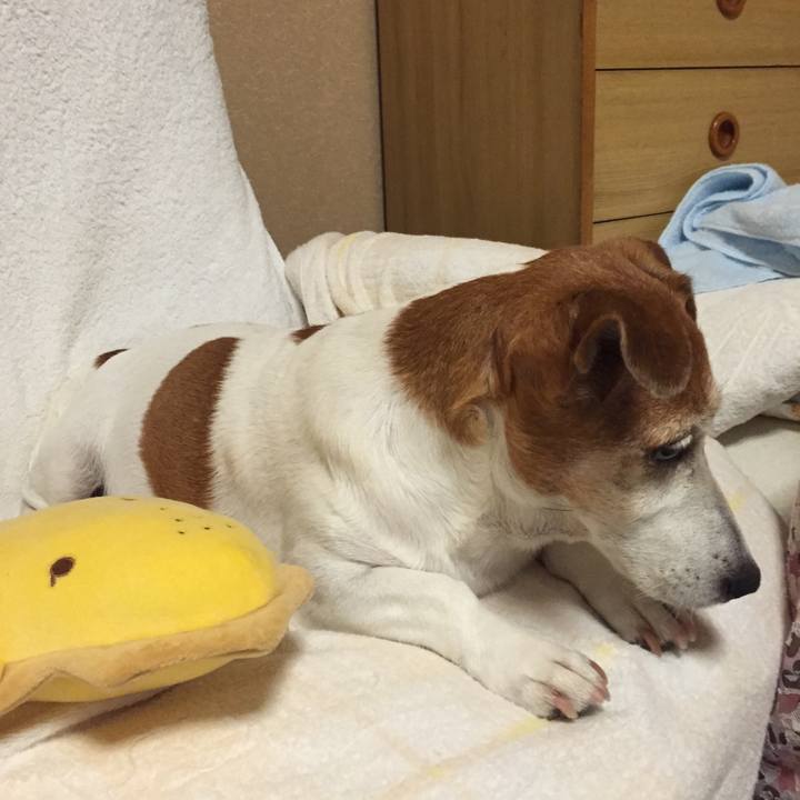 701a0ece 8ce5 4a24 befb 39e50c83f470