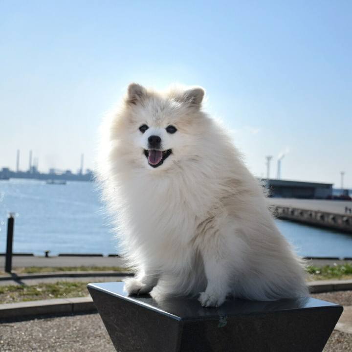 701a591d 1d6f 49ac a48b 4328b1ecd6c9