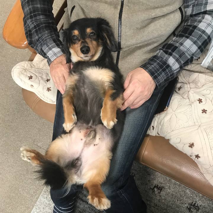 701b744e 40ba 4ccd 80ee 305ed9c7e940