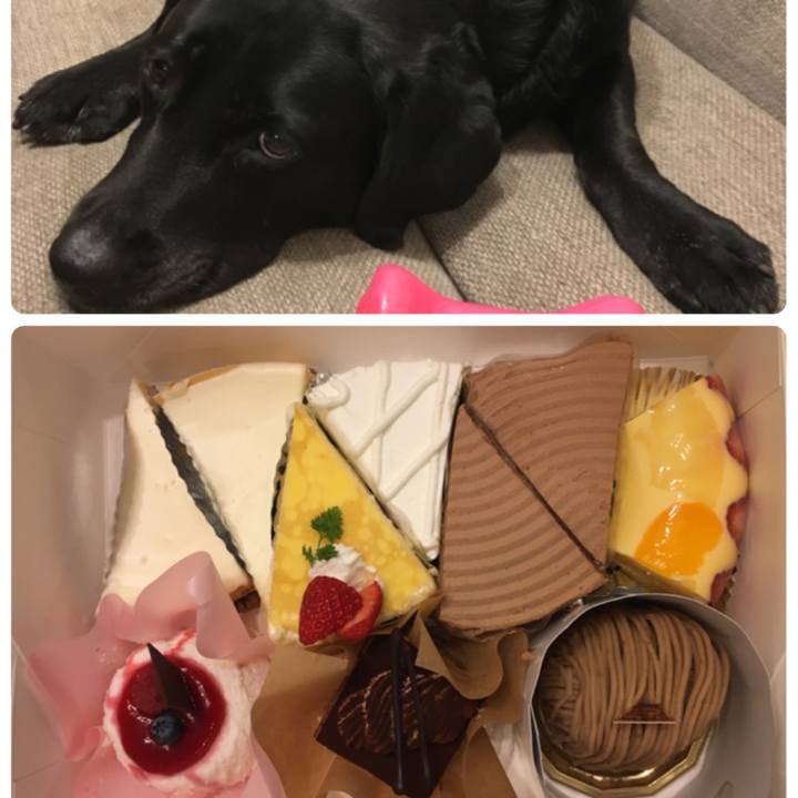 701ba2a3 ea56 4e9e b4b2 7fe65c52ffed