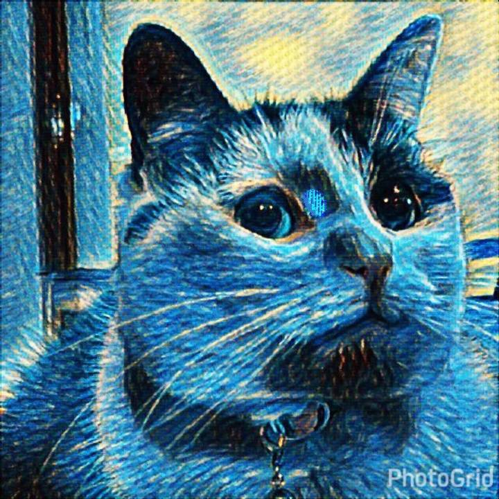 701bd291 1b2e 4b3e 9f79 2bded665c137