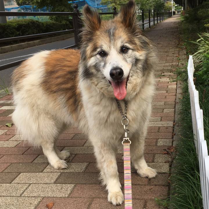 701c31c8 0cf0 42ad a9e2 4fe4c074729e