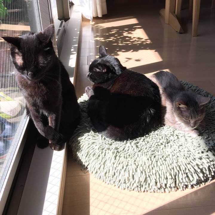 701c4f35 019e 46fc 82ee 303659f1f276