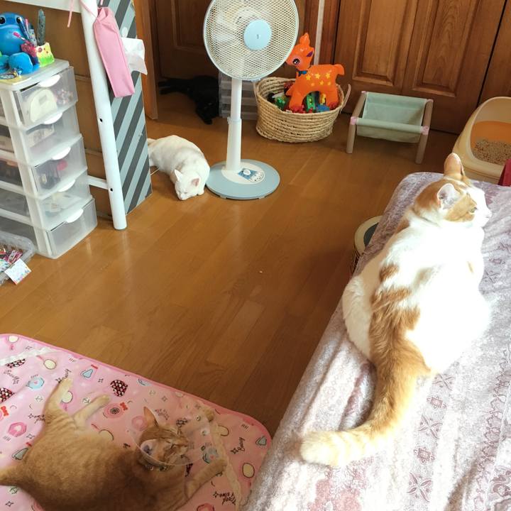 701cd169 c37a 4943 9b4a 5710edf0f944