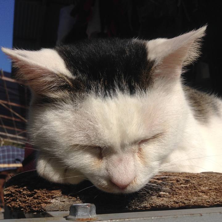 701ce2e3 005c 4fdd 976a e52ee0d704da