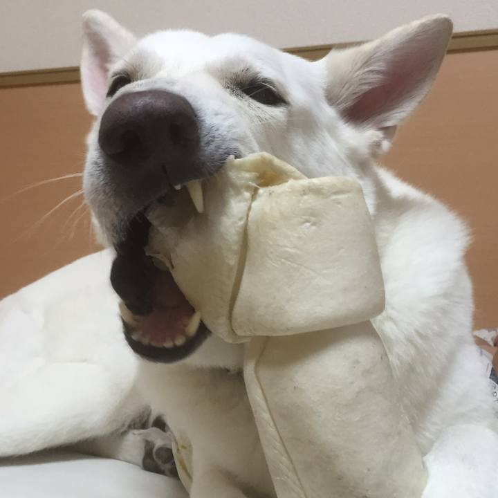 701d3a2a 3610 4681 9031 5c4d6aacd526