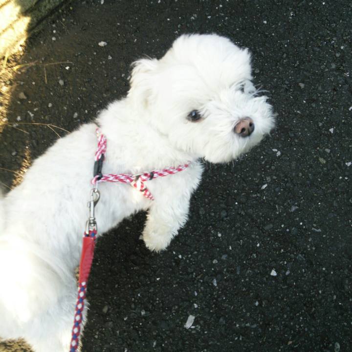 701d6e7e a58e 4a09 ae64 774ac374ef33