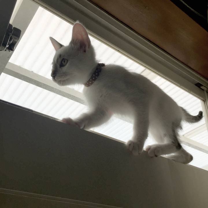 701d6e82 7cdd 41de ae9b 2eb507b46adf