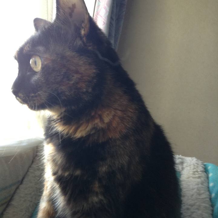 701d74c1 6037 43de b917 affc826e92fa