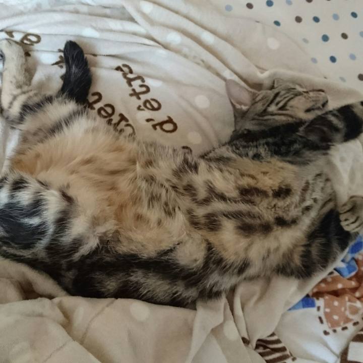 701dae69 2535 478c 95a8 6c7df3378c90