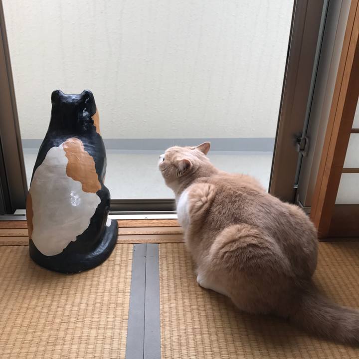 701dcfeb e6b3 4fe5 8019 a602094ea06b