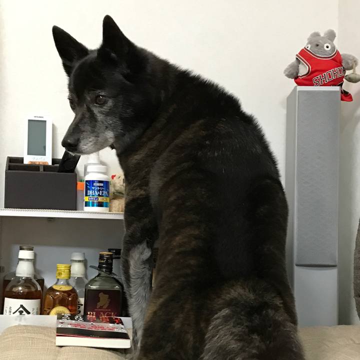 701dea55 89ec 4cd7 a5da d6892c1c6caf