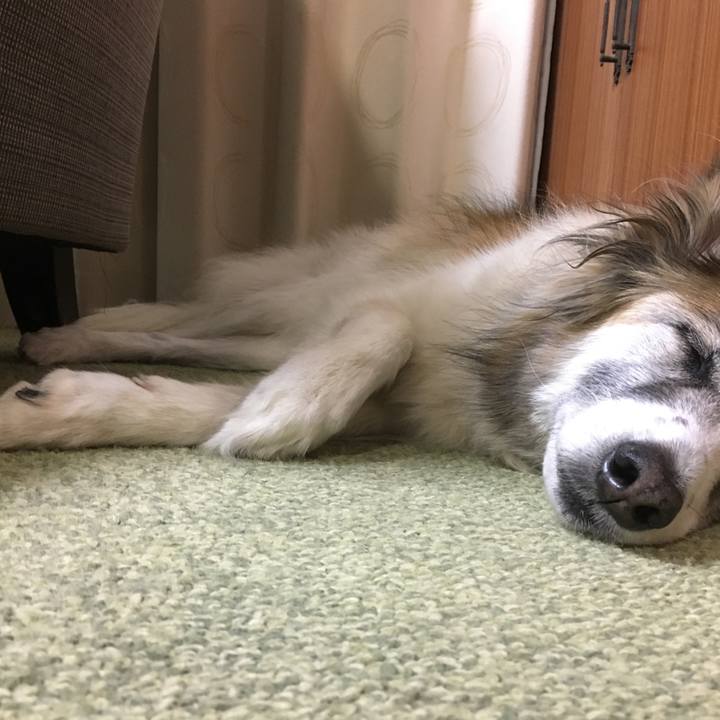 701e0a39 fd09 4c2d 85bc d45a64e9b37c