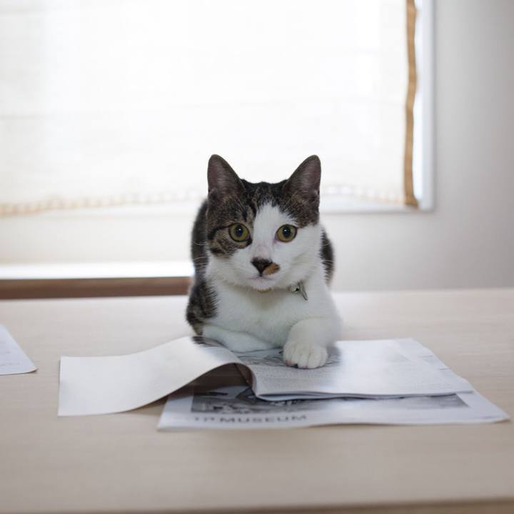 701edbf6 b4e3 4cc5 8e7e 7b821e447165