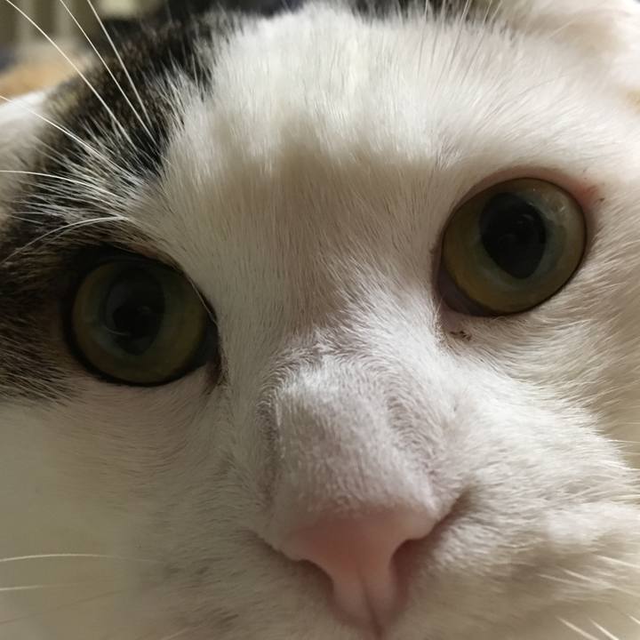 701f5c98 dd8c 4b45 be52 062cd7076bfa