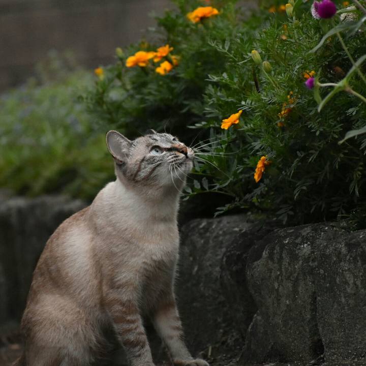 701fbfc1 c169 41d4 8952 c299a1e560d0