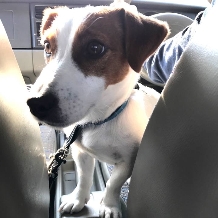 701fd3fa 32d0 4cfd baf4 0133a35728e1