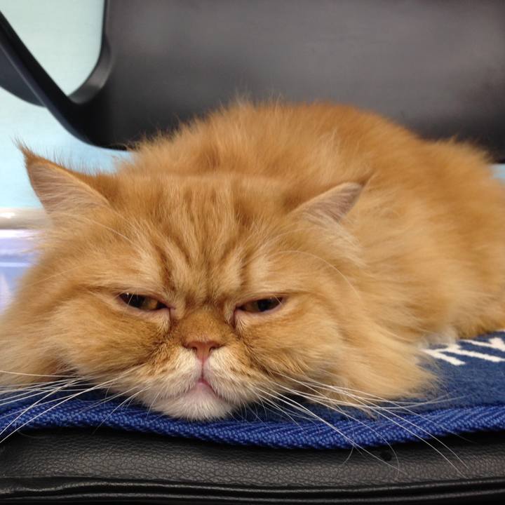 701fdaf9 212f 489d a10e 3d83d8606813