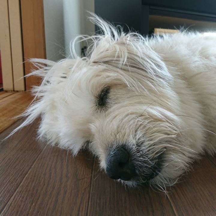 702035ed 0021 4e09 8607 ccddeb9c6095