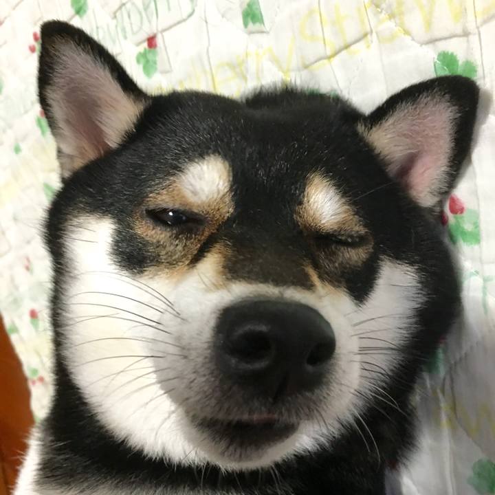 7020860f 897d 48a5 a787 8b4c081bc526