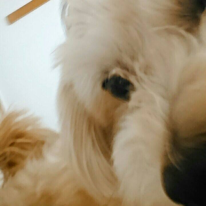 70211090 c3b4 408c a690 8a57a790f276