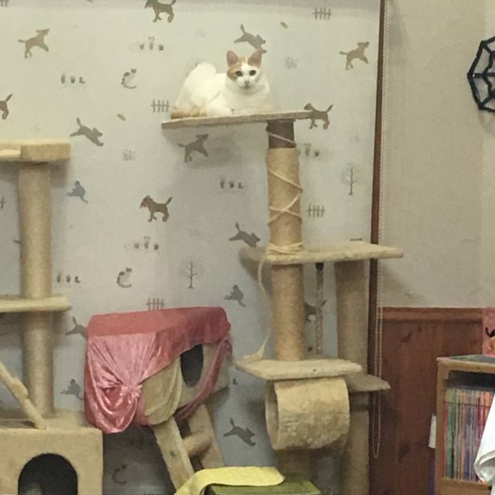 70213a26 4810 4f85 b3b7 0550818c9705