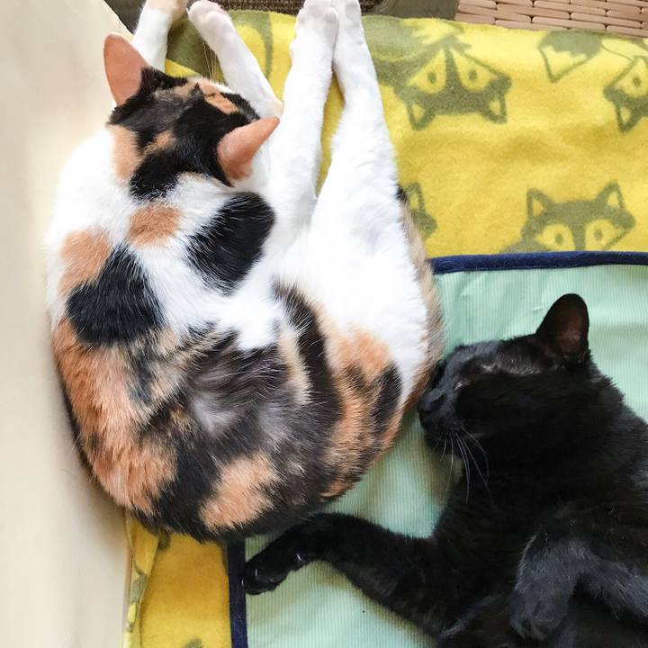 70217103 56d0 4d18 9b1b ac521d3d8013