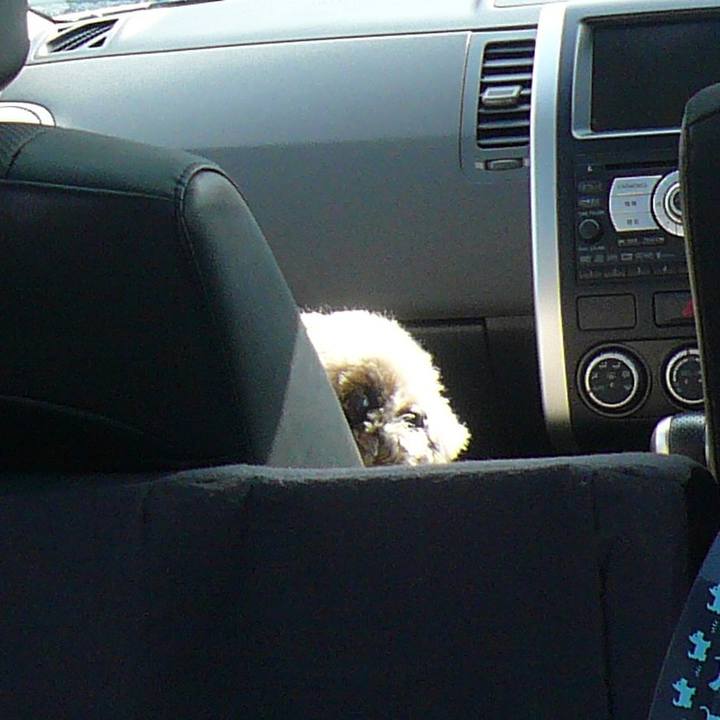 7022ba63 13e3 408a b8d6 a0e5268d0053