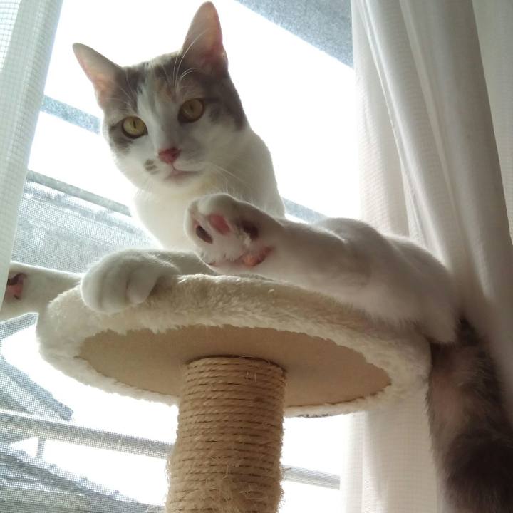 70230f17 ea00 4eba bb3a 7a1b64e61893