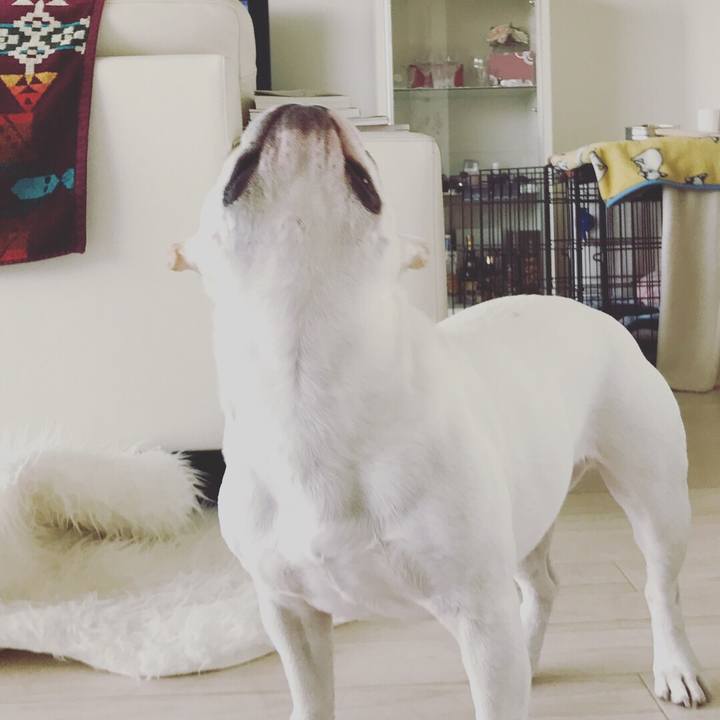 70232ad8 0ae6 4e1d a004 520b6688f83c